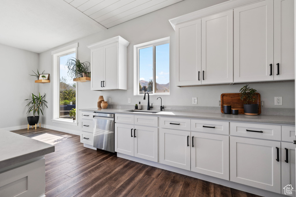 Kitchen featuring white cabinets, plenty of natural light, sink, and stainless steel dishwasher