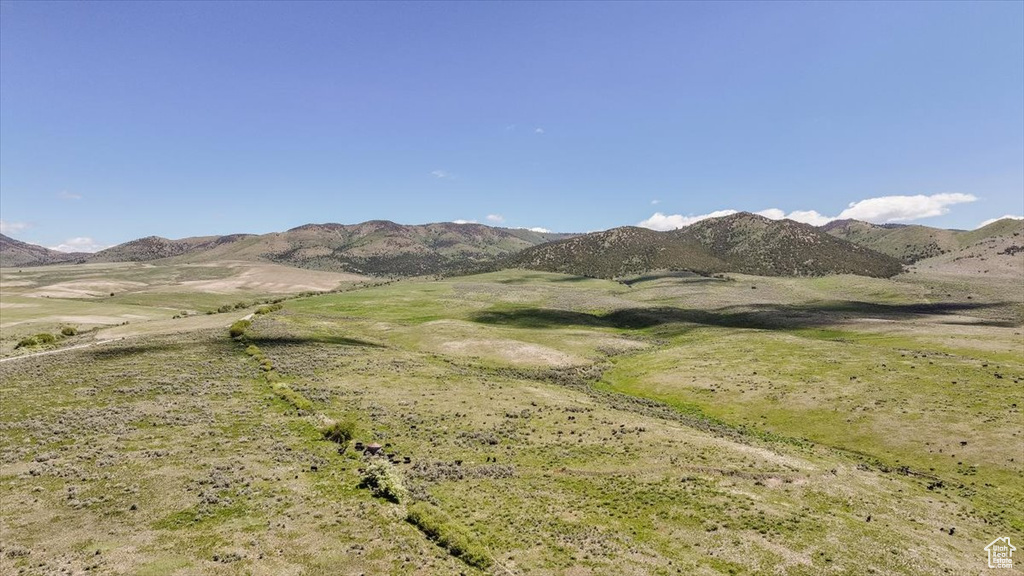 View of mountain background