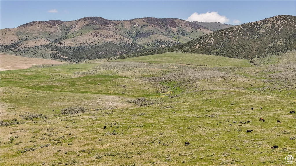 View of mountain background
