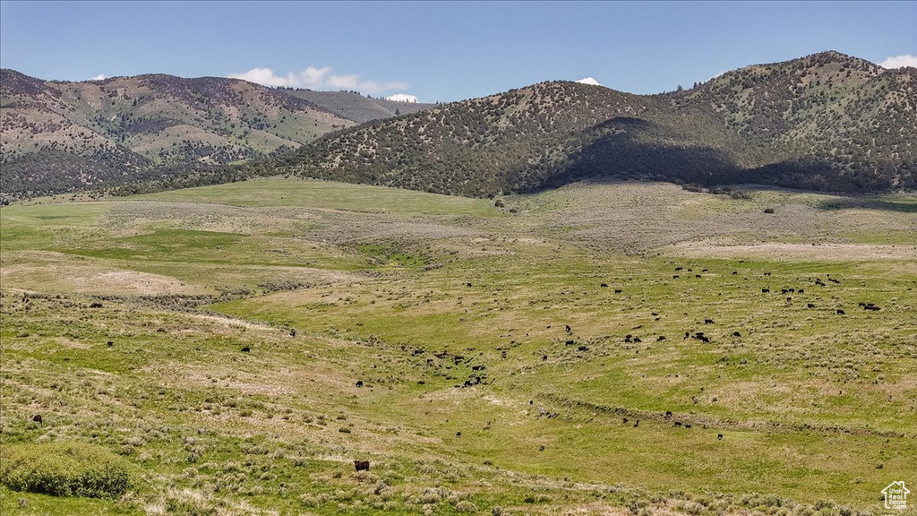 View of mountain backdrop