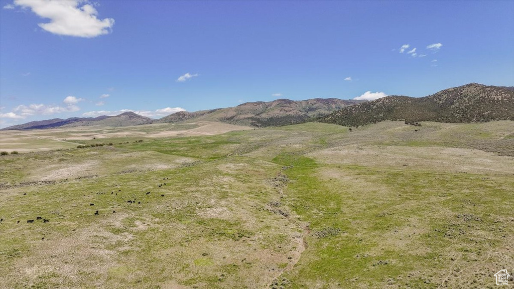 View of mountain background