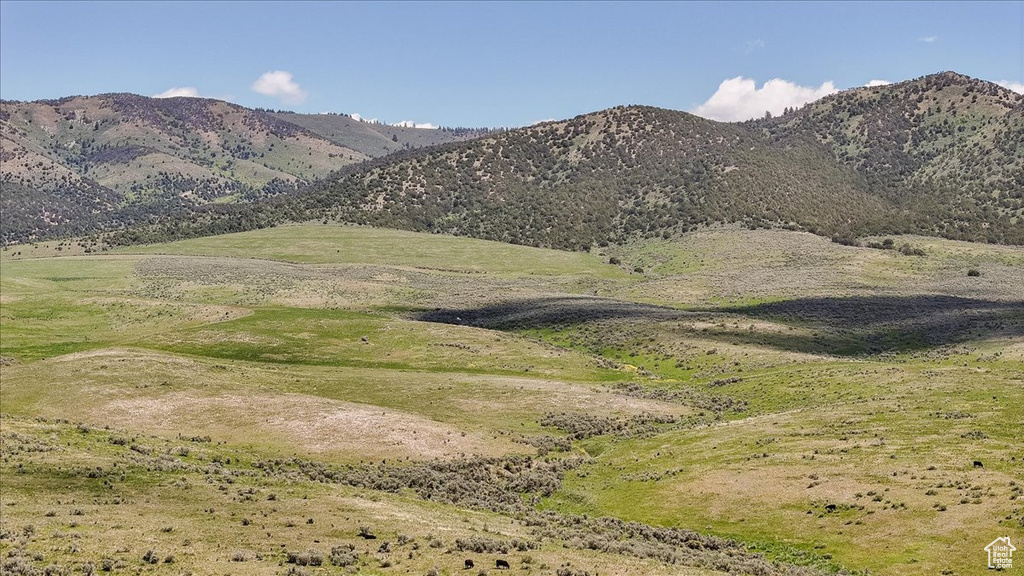 View of mountain background