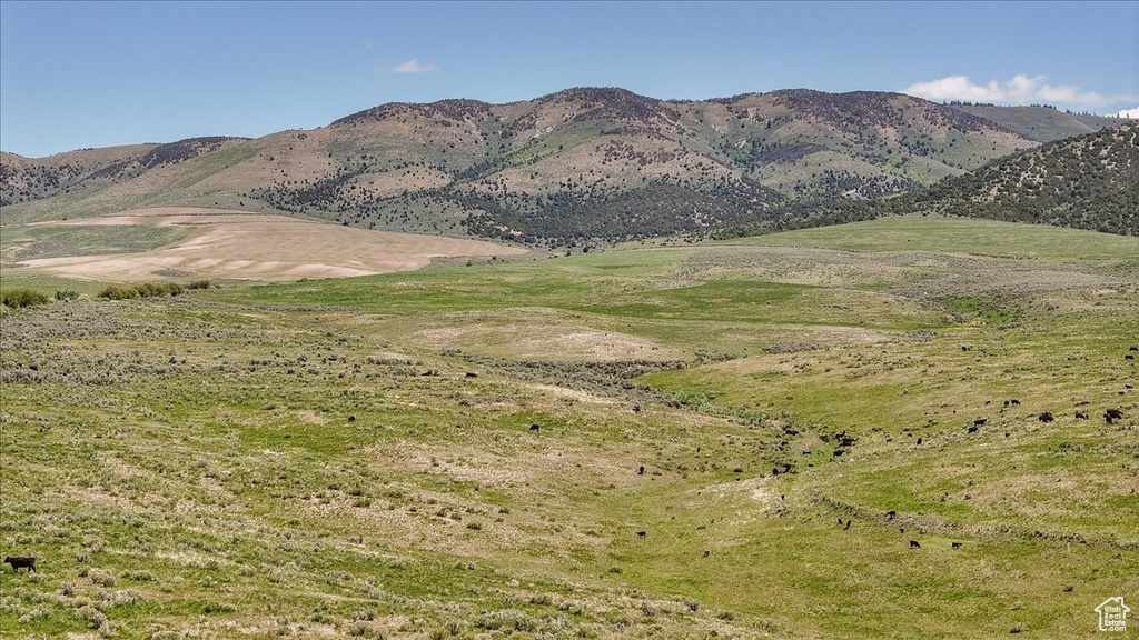 Mountain view
