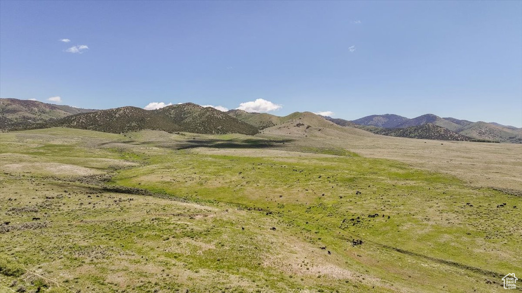 View of mountain background