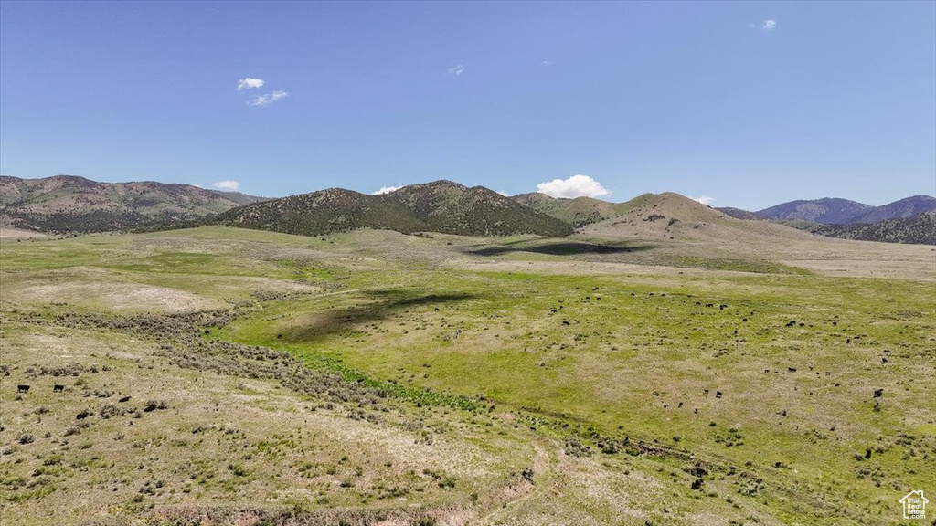 View of mountain background