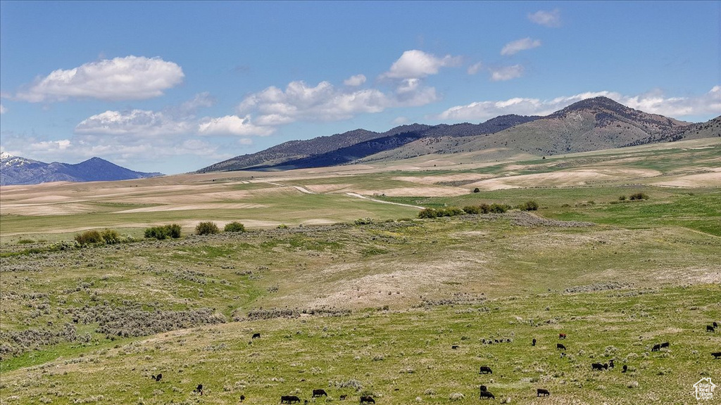 Mountain view