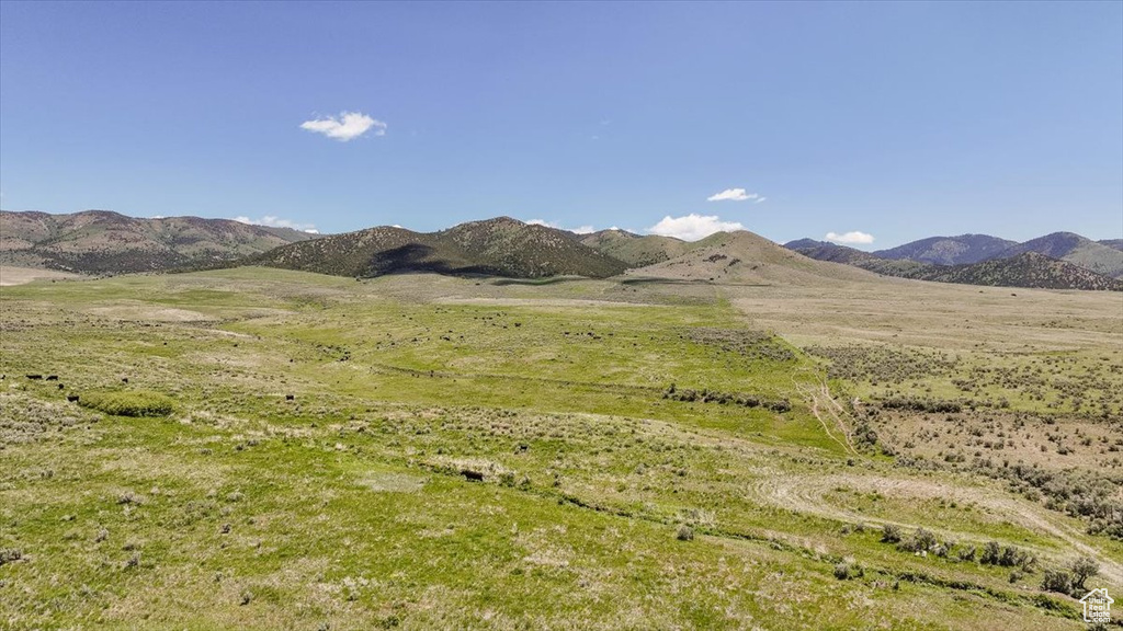 View of mountain background