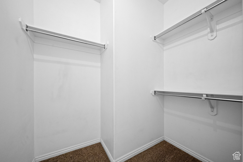 Spacious closet featuring carpet