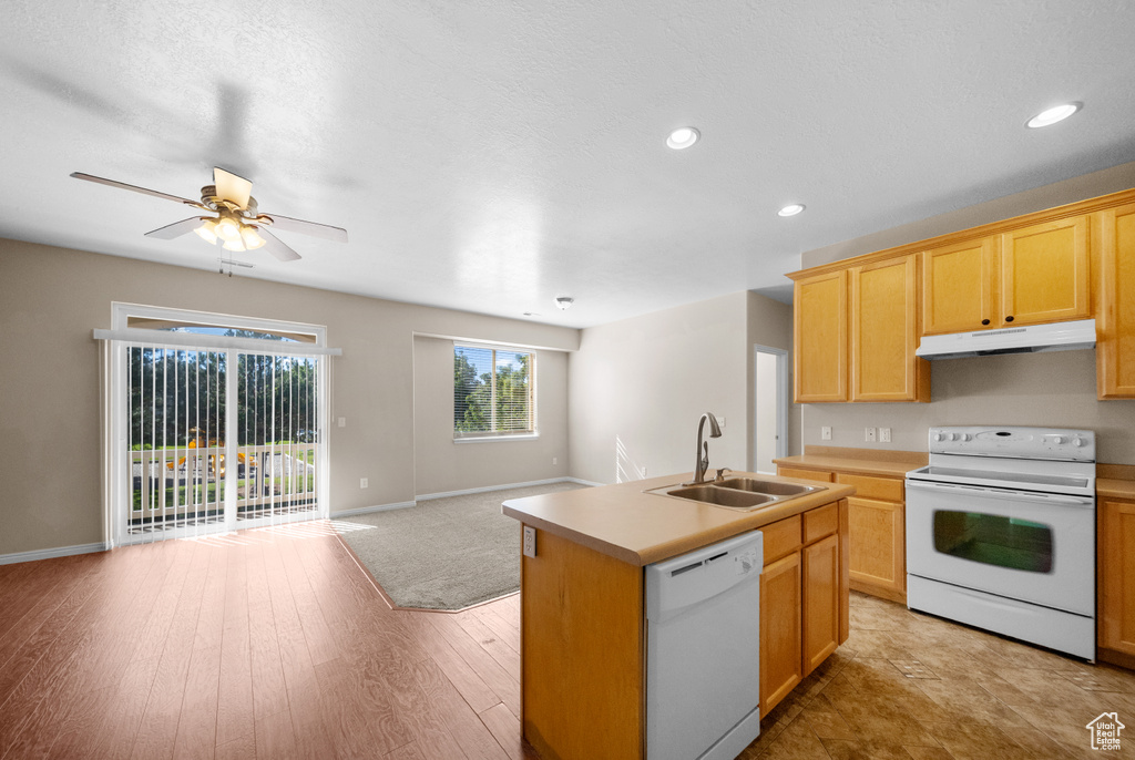 Kitchen featuring ceiling fan, light wood-type flooring, an island with sink, sink, and white appliances