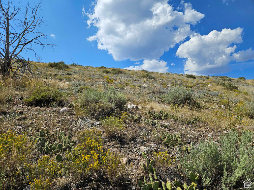 View of landscape