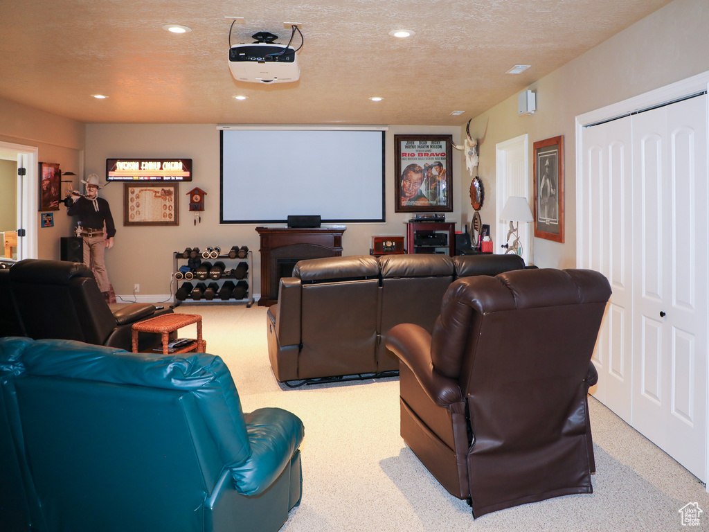 Cinema featuring carpet flooring and a textured ceiling