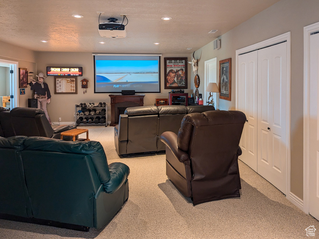 View of carpeted home theater room