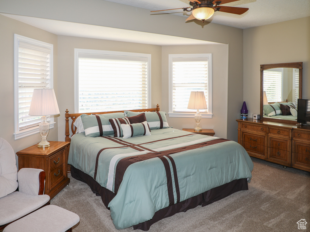 Bedroom featuring ceiling fan, carpet, and multiple windows