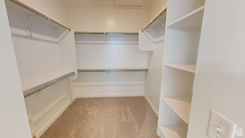 Spacious closet featuring light carpet