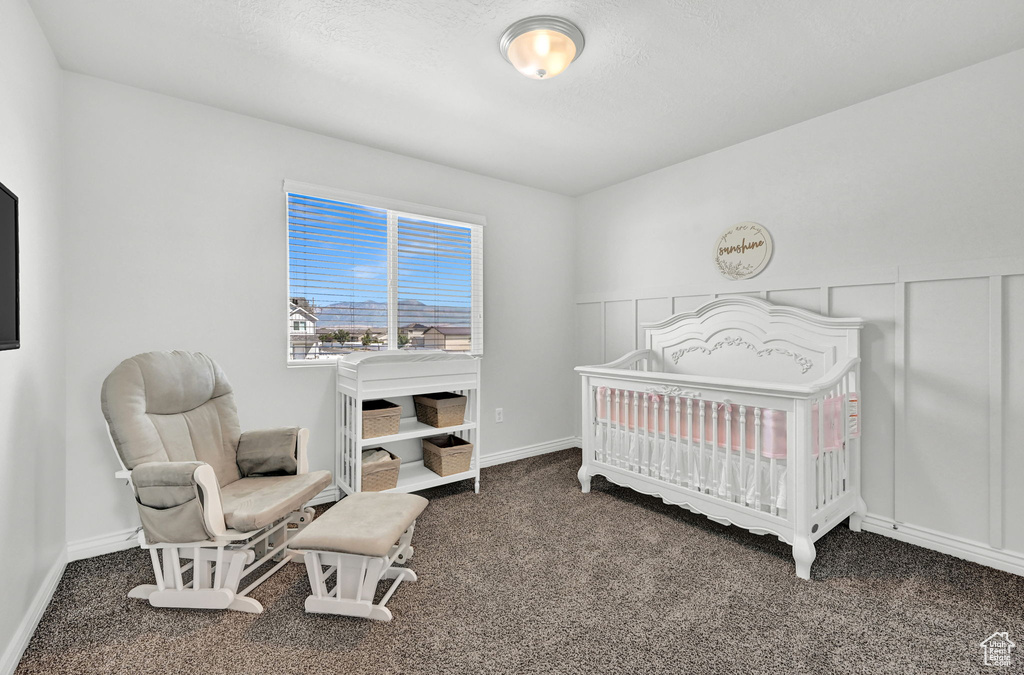 Carpeted bedroom with a nursery area