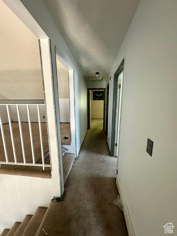 Hallway featuring carpet flooring