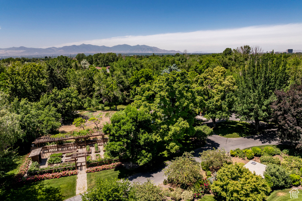 Aerial view featuring a mountain view