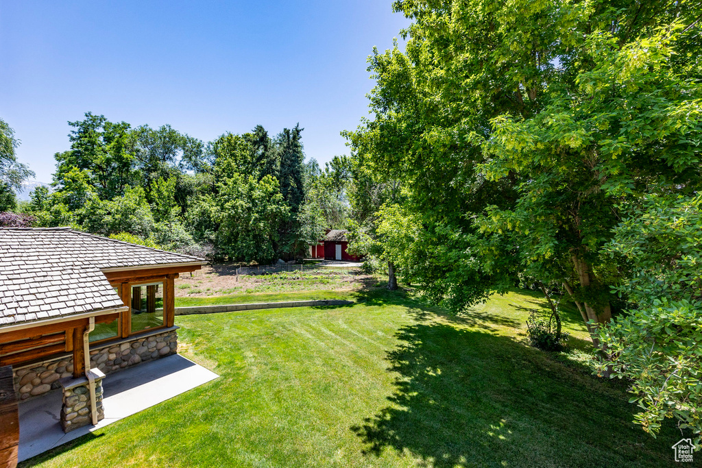 View of yard with a patio area and a storage unit