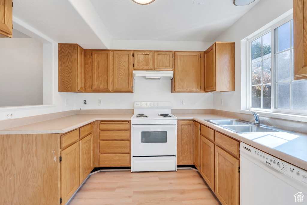 Kitchen with light wood-type flooring, sink, and white appliances