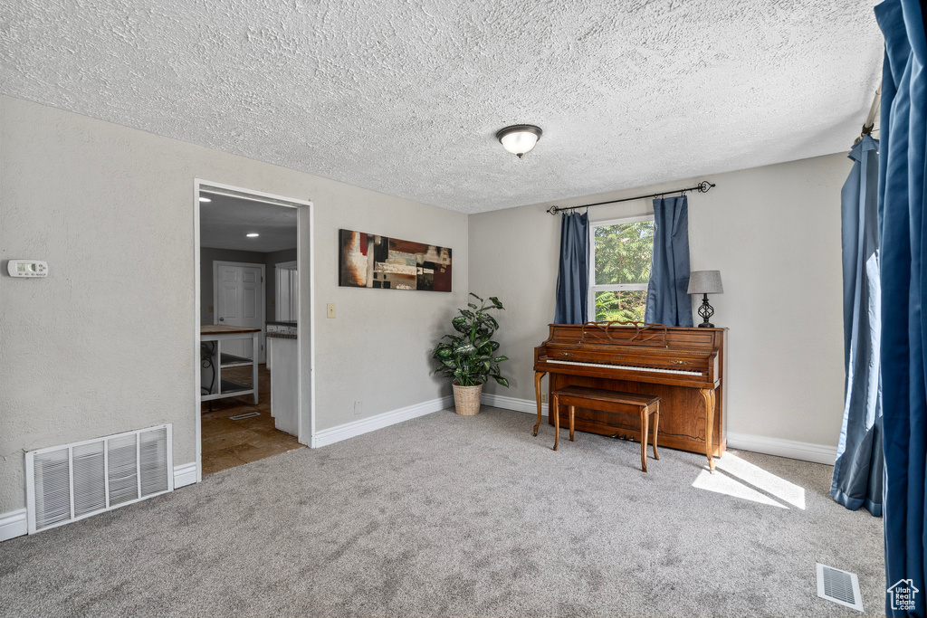 Misc room featuring light carpet and a textured ceiling