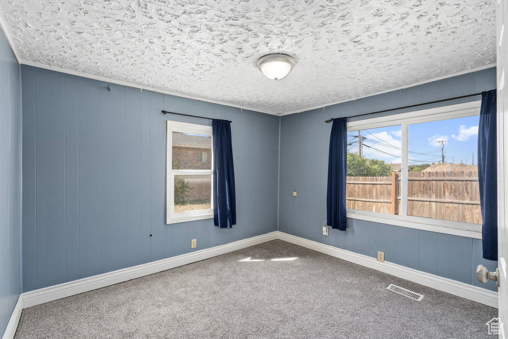 Spare room featuring a textured ceiling, carpet floors, and a healthy amount of sunlight