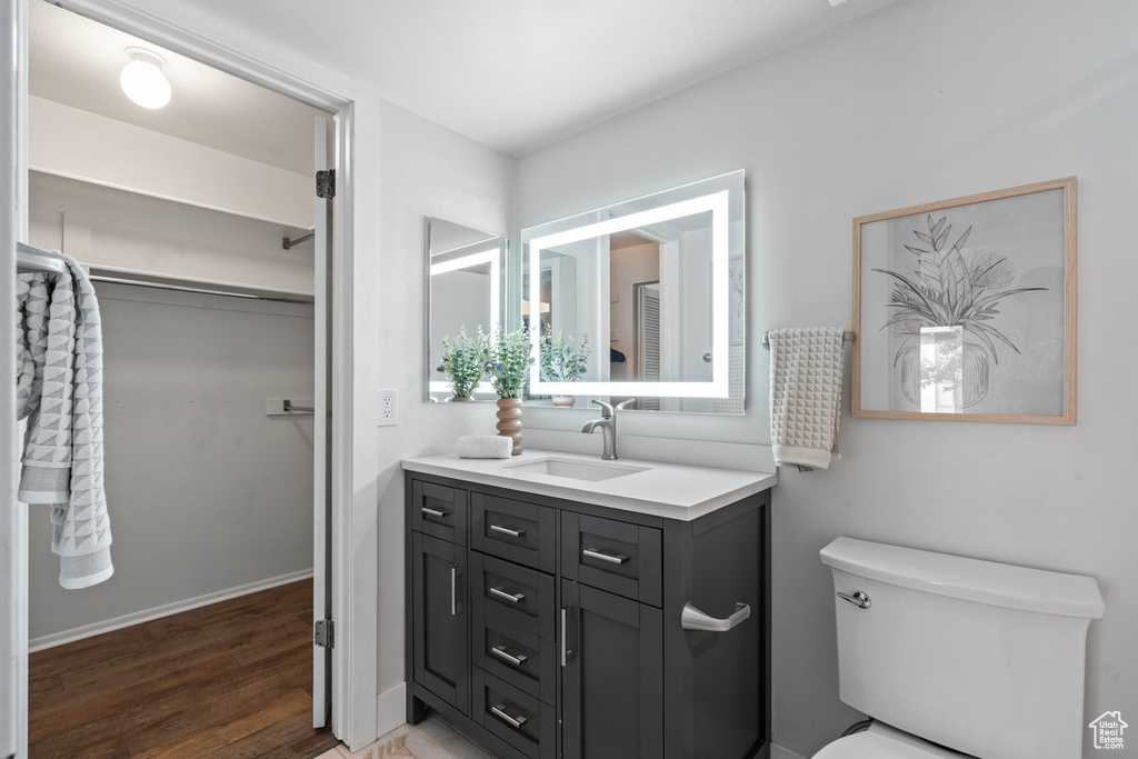 Bathroom featuring vanity, toilet, and wood-type flooring