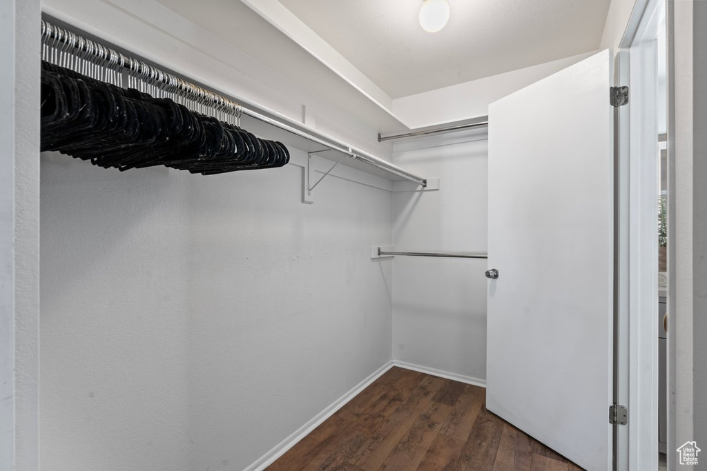 Spacious closet featuring dark hardwood / wood-style floors