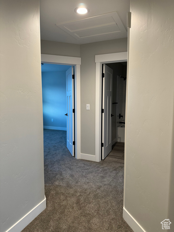 Hallway featuring carpet flooring