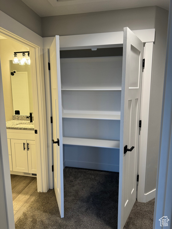 Closet featuring sink