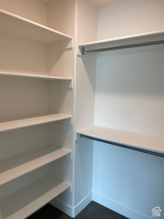 Spacious closet with carpet floors