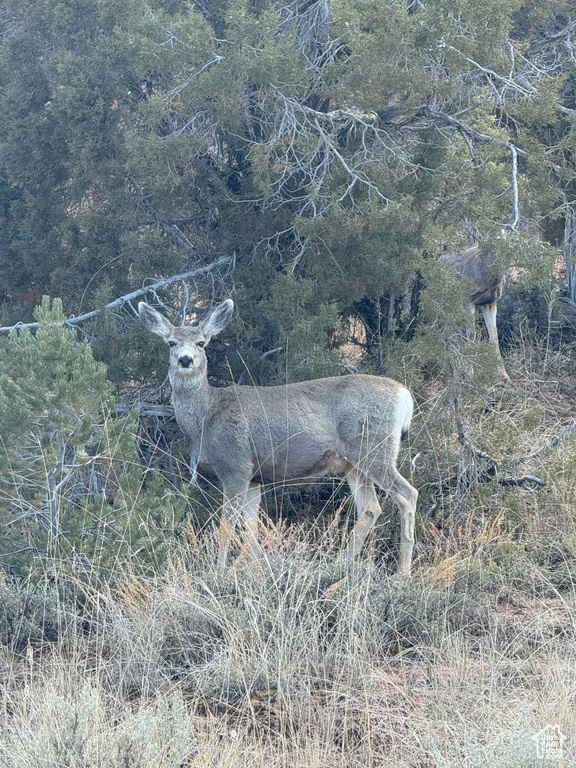  Fruitland, UT 84027
