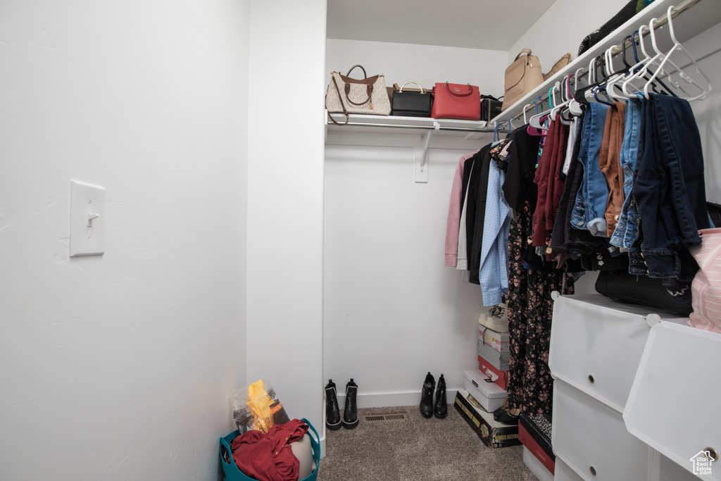 Spacious closet featuring carpet floors