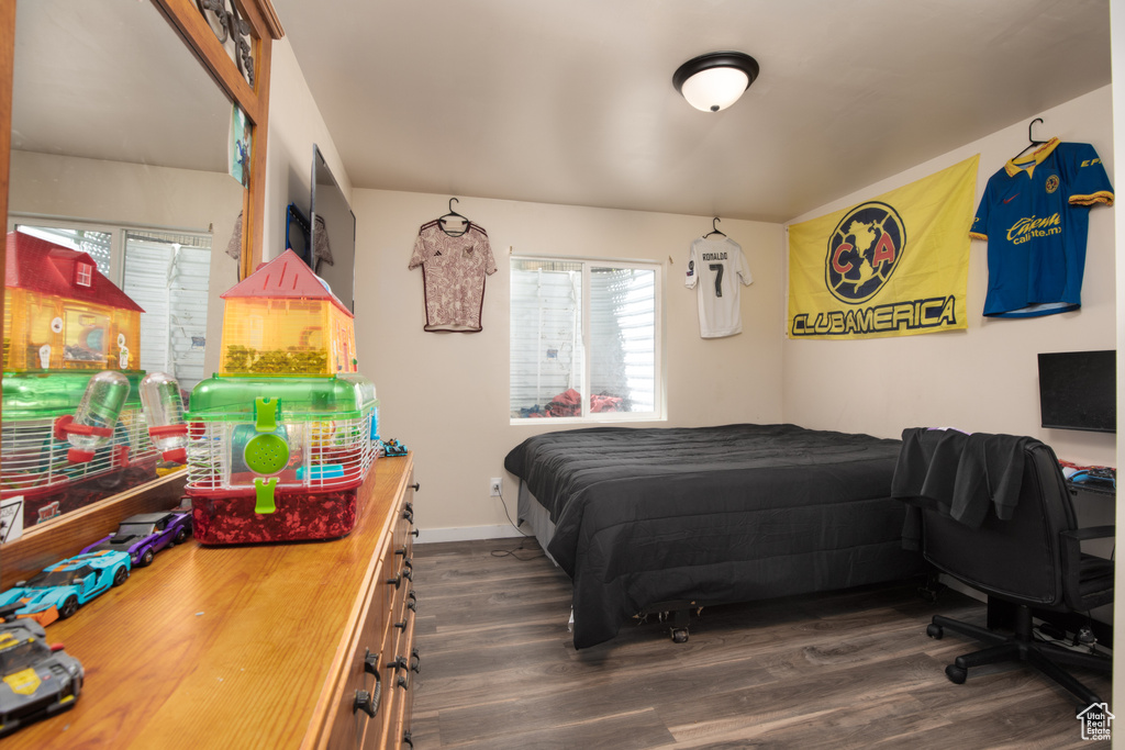 Bedroom featuring multiple windows and dark hardwood / wood-style floors