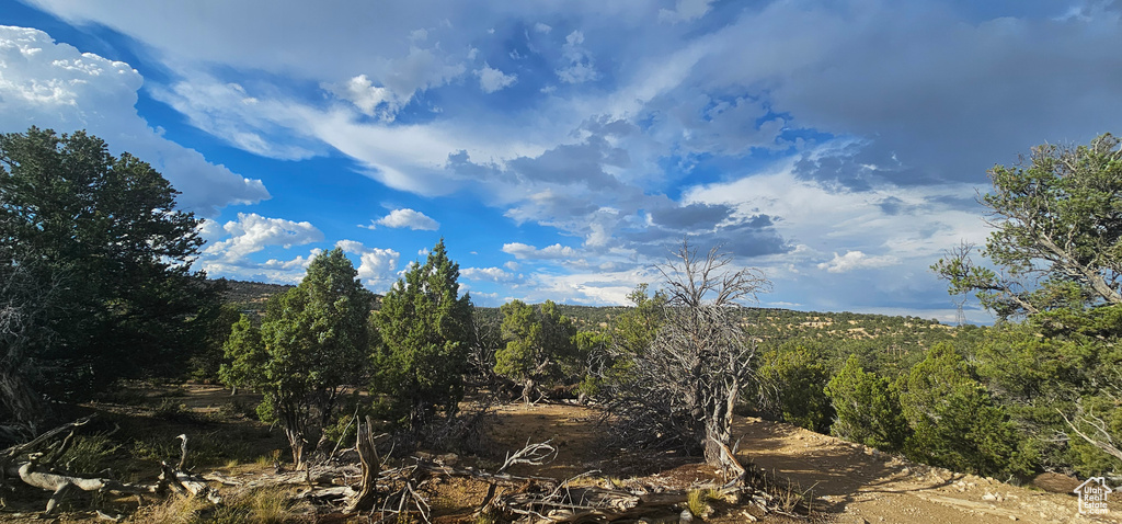 View of nature