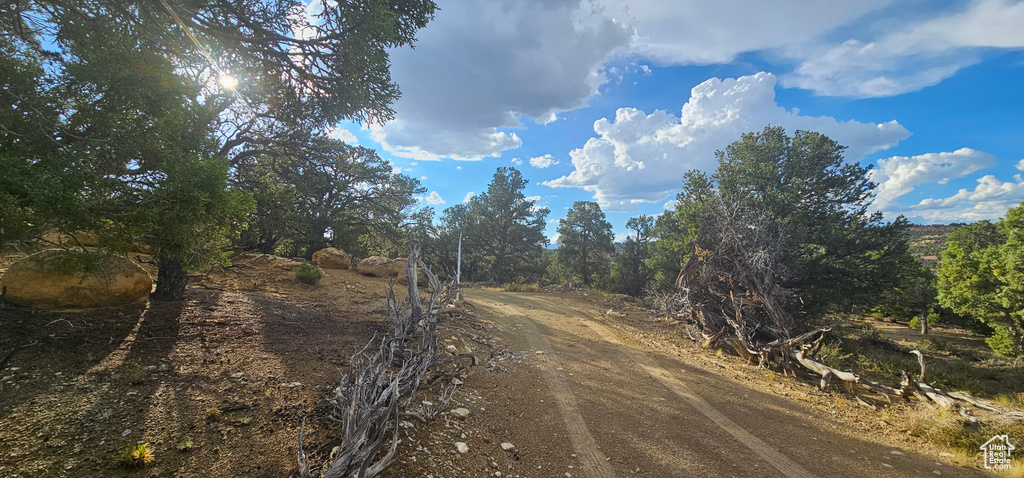 View of road