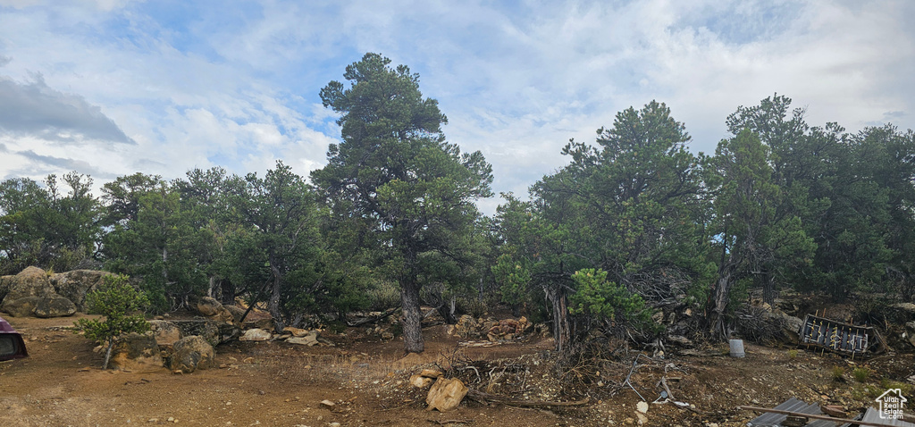 View of landscape