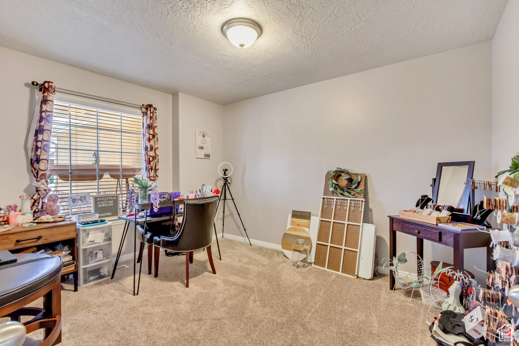 Office area with a textured ceiling and light carpet