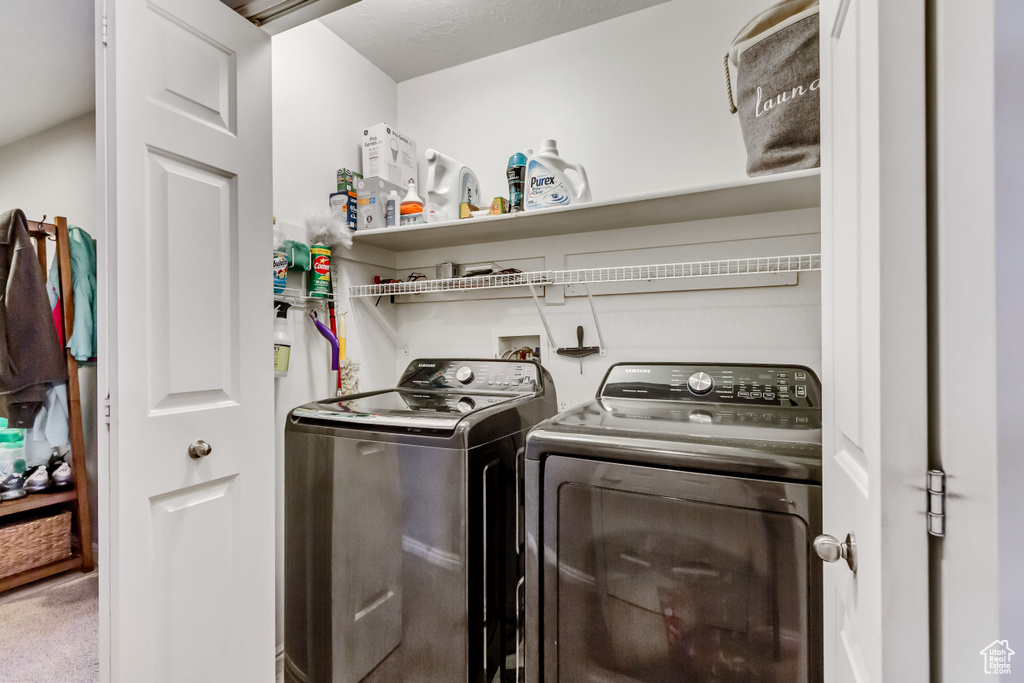 Laundry room with carpet and washer and clothes dryer