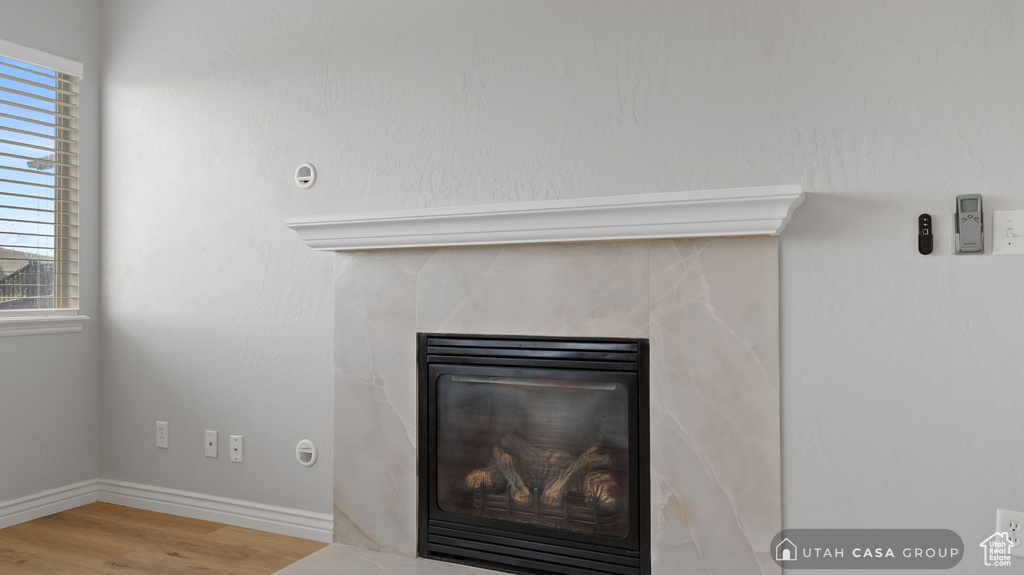 Room details featuring wood-type flooring and a premium fireplace