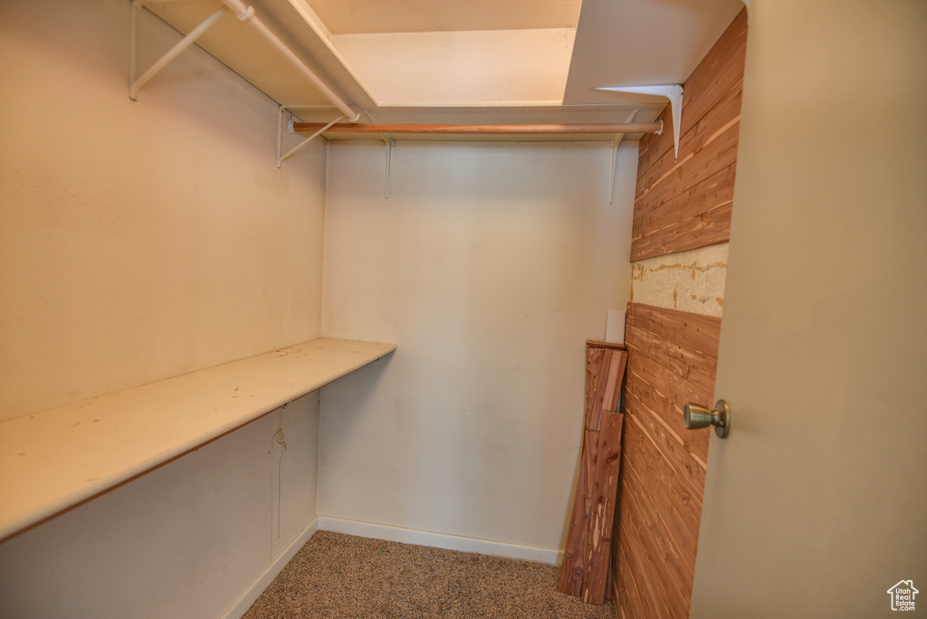 Walk in closet with carpet floors