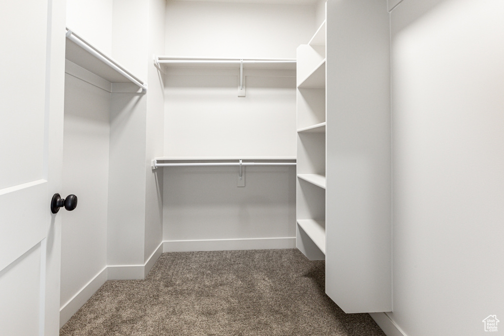 Spacious closet with carpet floors