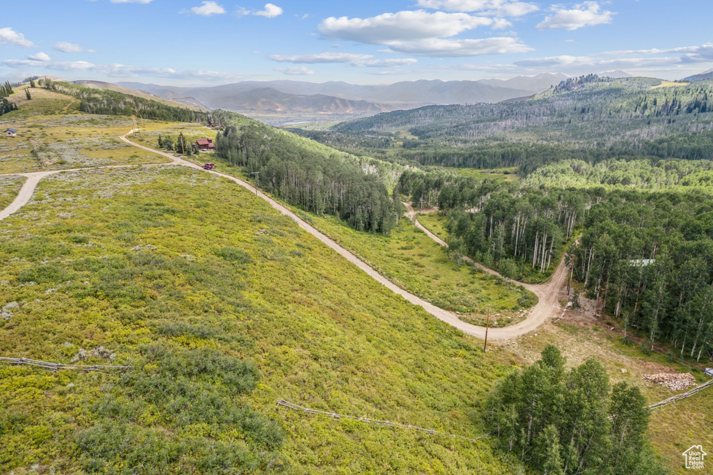 Drone / aerial view featuring a mountain view