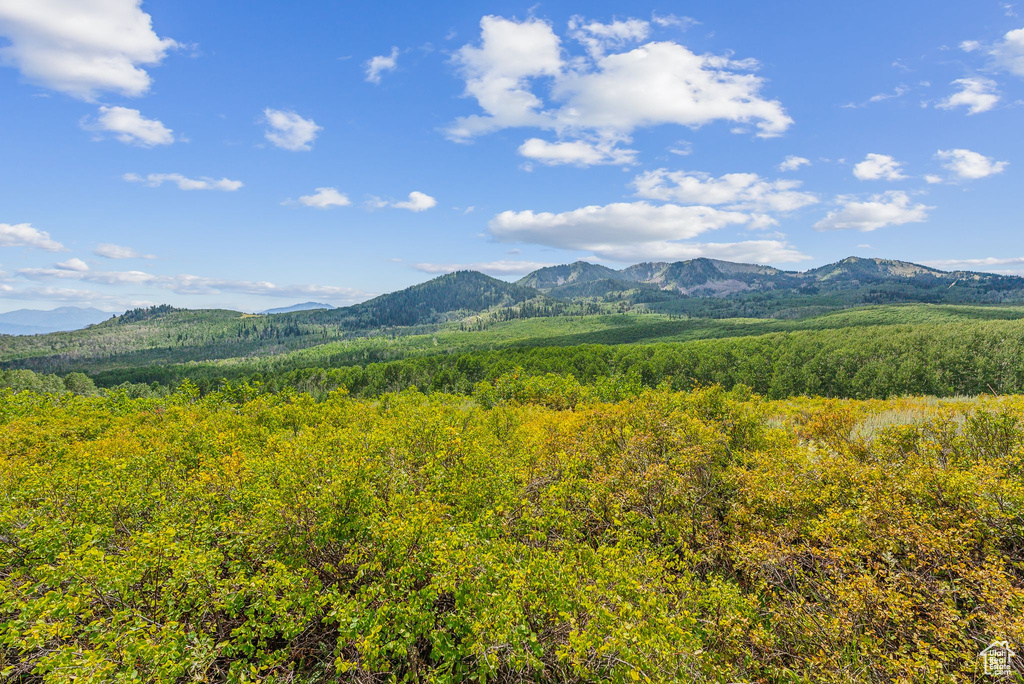 Property view of mountains