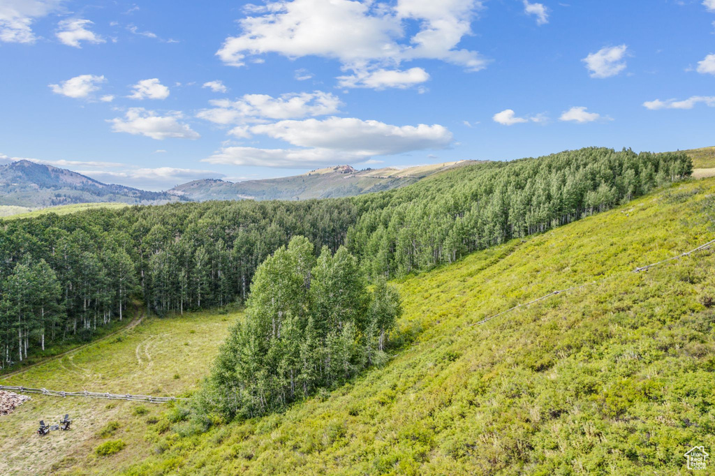 Property view of mountains