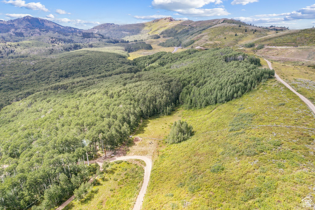 Drone / aerial view featuring a mountain view