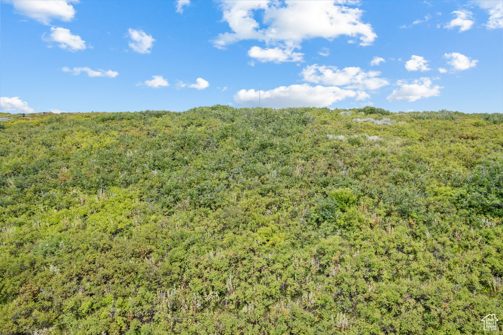 View of nature