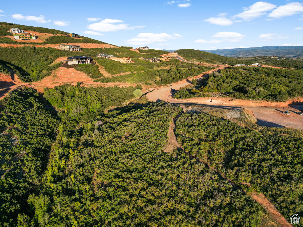 Bird\\\'s eye view with a mountain view