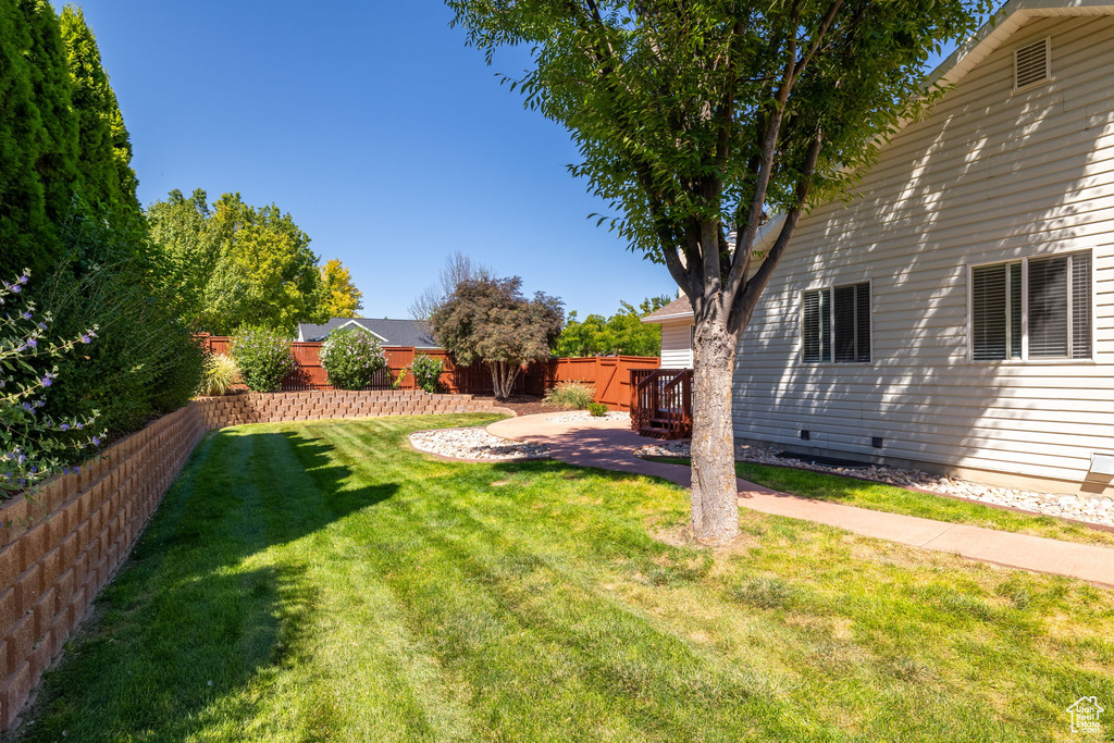 View of yard with a patio area