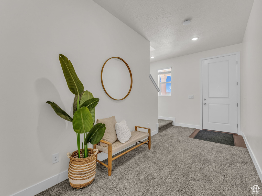 Sitting room featuring carpet, baseboards, recessed lighting, and a textured ceiling
