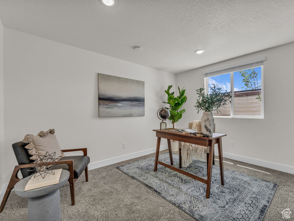 Carpeted office with baseboards, recessed lighting, and a textured ceiling